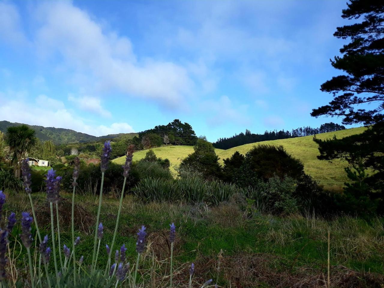 ホテル Mahamudra Buddhist Centre Colville エクステリア 写真